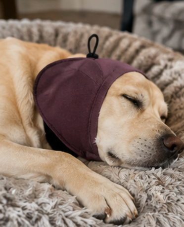 WagClub™ Adjustable Calming Ear Wrap for Dogs | Soft Noise-Reducing Hood