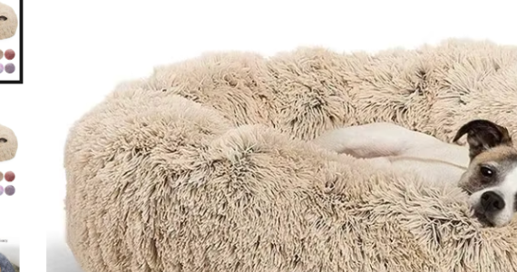 Fluffy round calming donut pet bed with dog resting inside